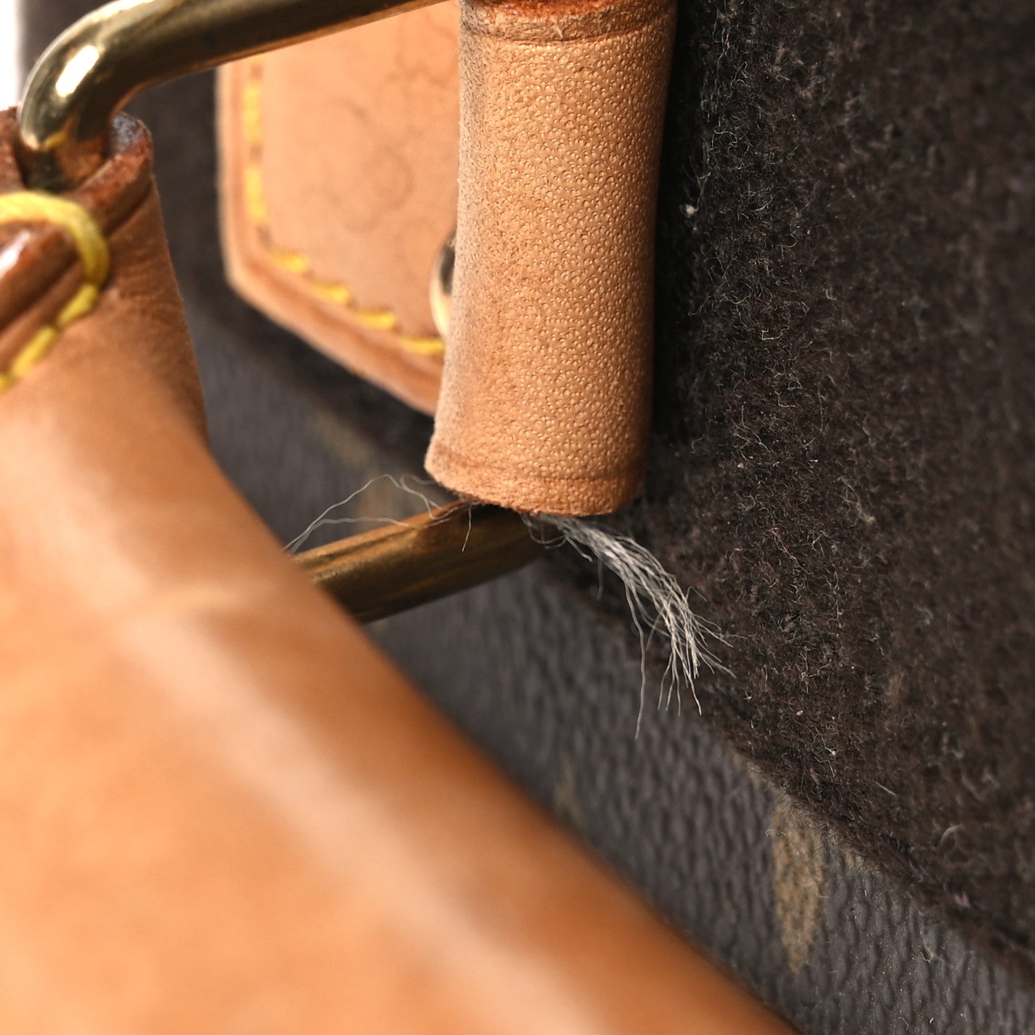 Monogram Pegase 55
