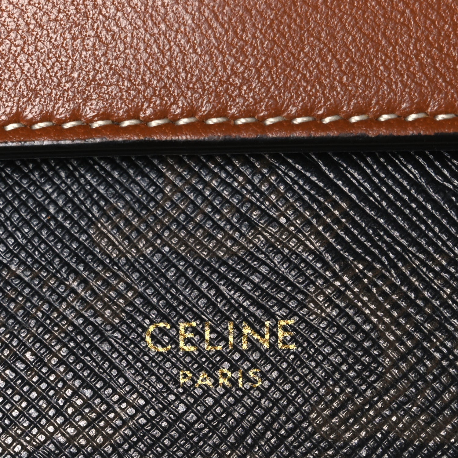 Triomphe Canvas Lambskin Wallet On Strap Tan Tan
