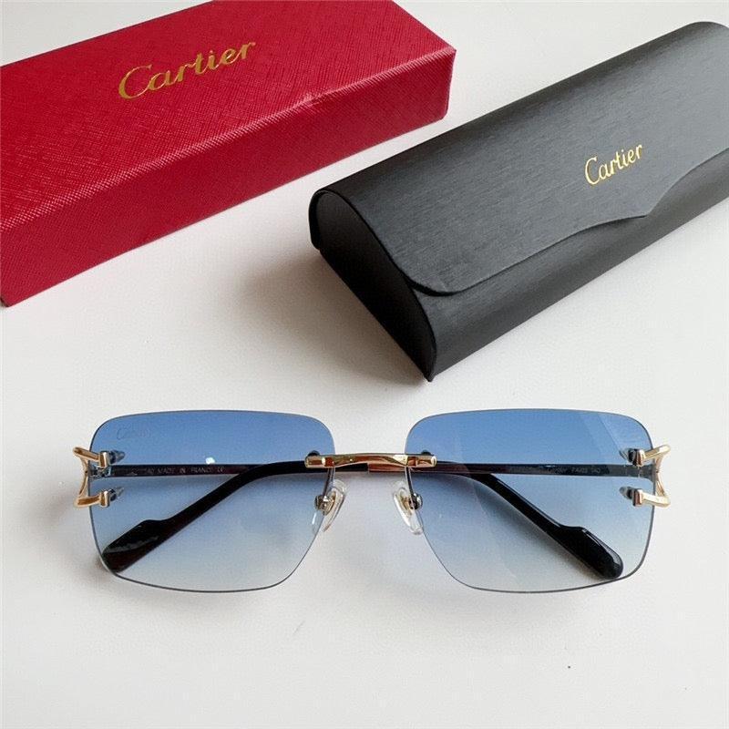 Cartier SIGNATURE C DE Style Sunglasses 57mm 14 lens Color✨