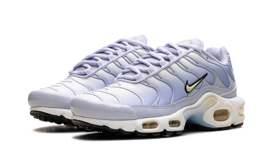Air Max Plus WMNS "Daybreak" DZ3670 004