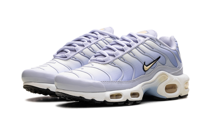 Air Max Plus WMNS "Daybreak" DZ3670 004