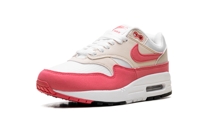 Air Max 1 WMNS "Aster Pink" DZ2628 110