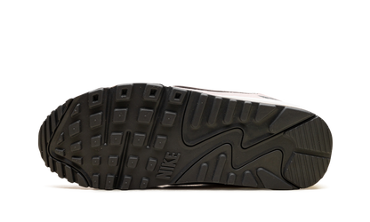 Air Max 90 Futura WMNS "Pale Ivory Platinum Violet" DM9922 106