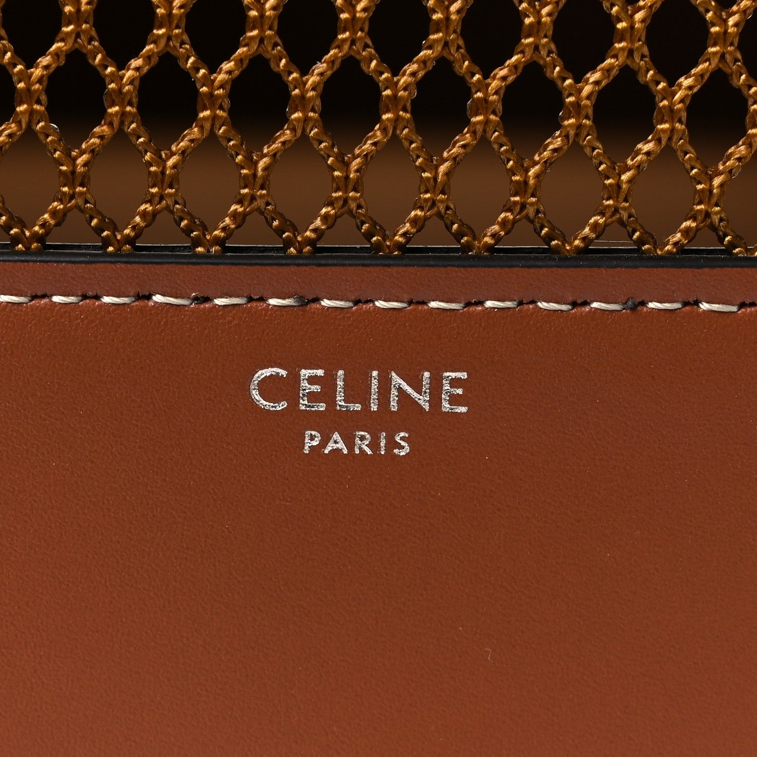 Triomphe Canvas Calfskin Travel Dog Bag Tan