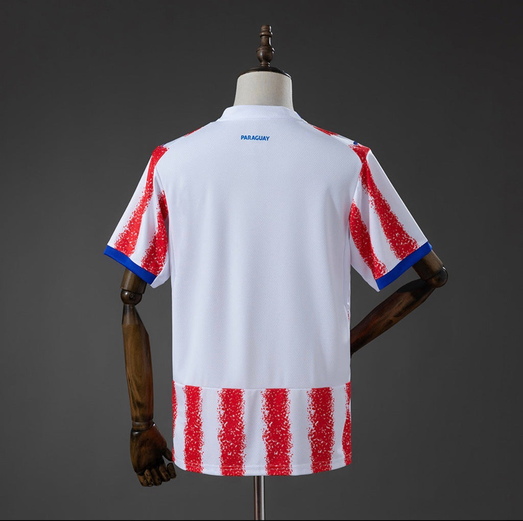 PARAGUAY DOMICILE 2026