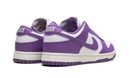 Dunk Low WMNS "Black Raspberry" DD1873 108