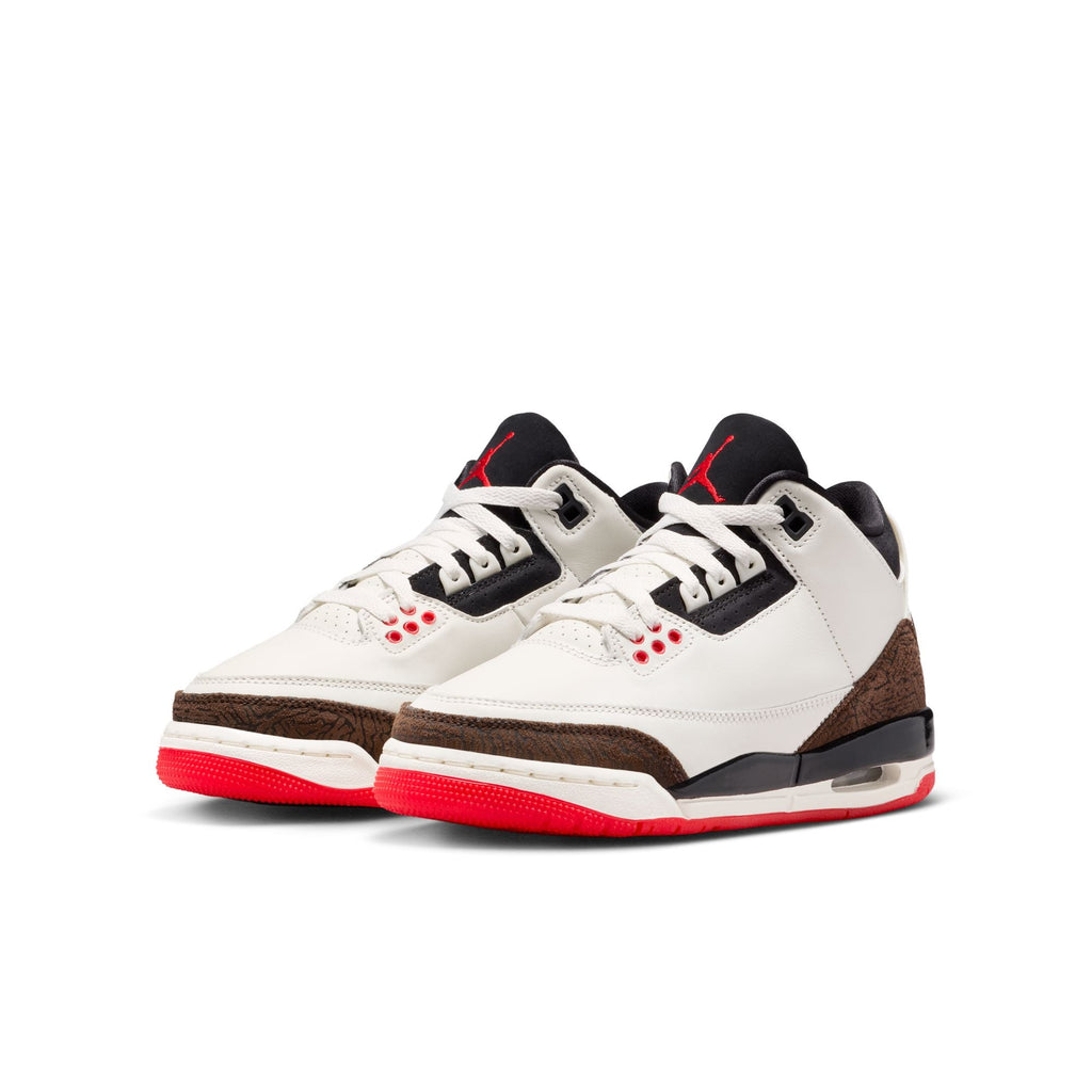 AIR JORDAN 3 RETRO "WORLD'S BEST"