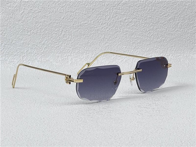 PANTHÈRE DE CARTIER CT CT0162O Photochromic Sunglasses 👑