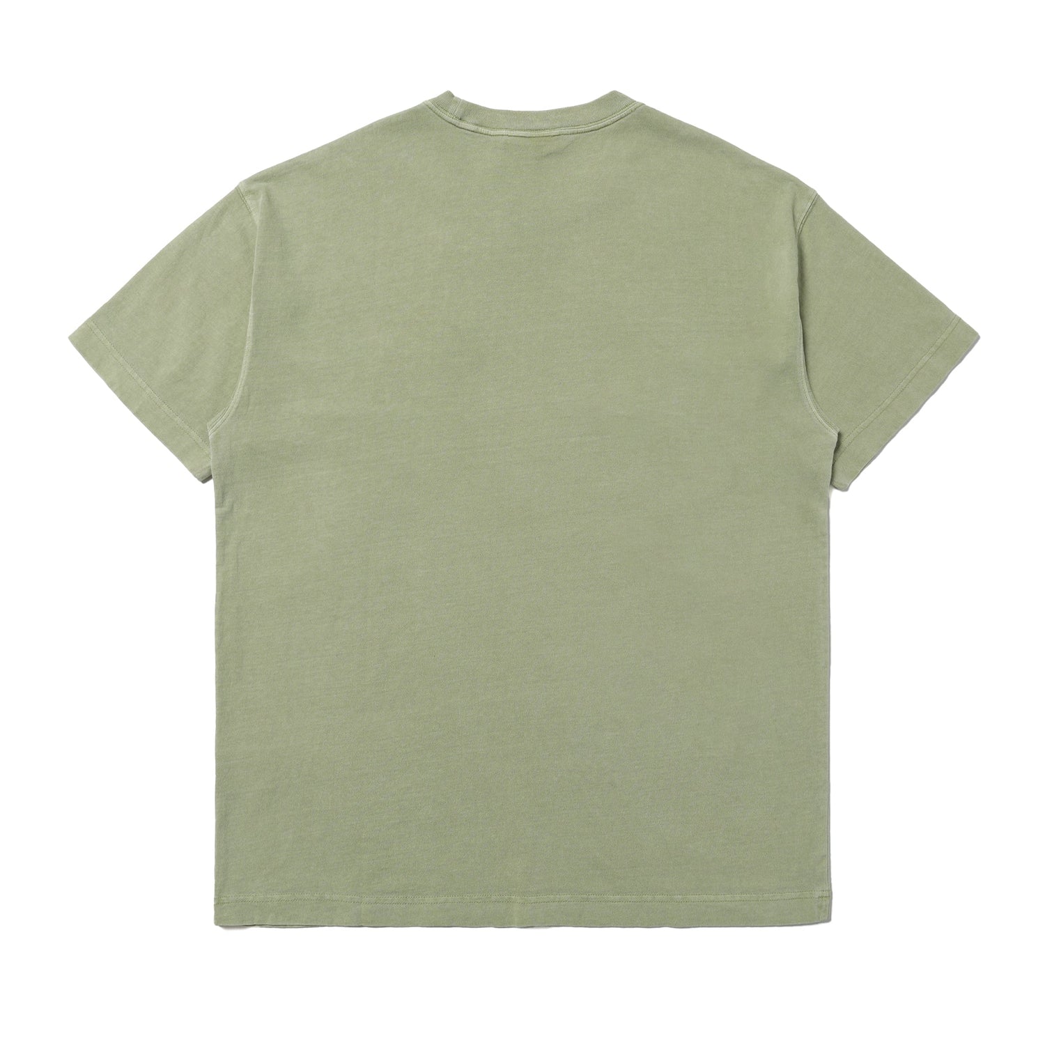 Carhartt WIP Nelson T-Shirt Gentle Green