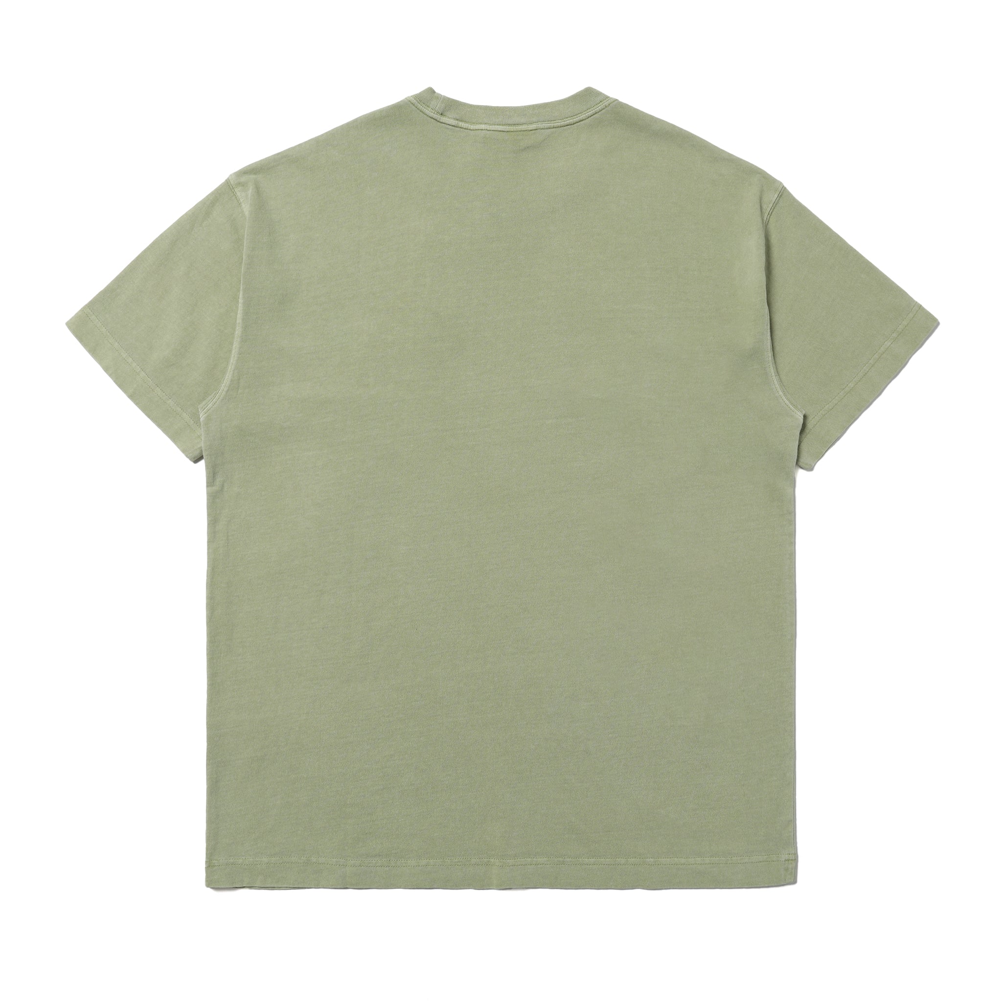 Carhartt WIP Nelson T-Shirt Gentle Green