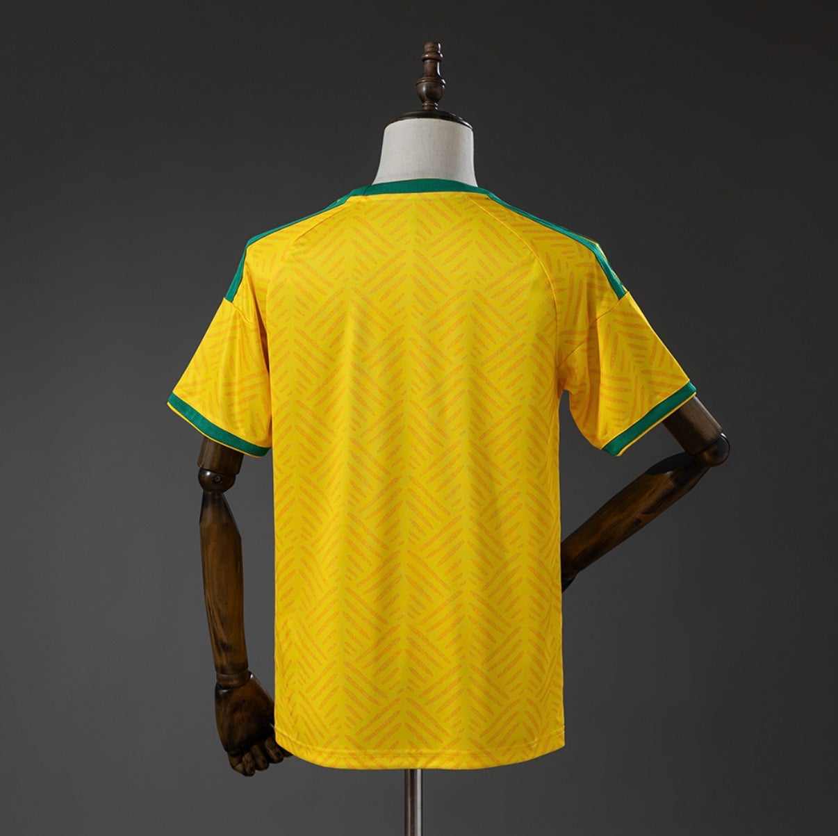 AFRIQUE DU SUD DOMICILE 2026