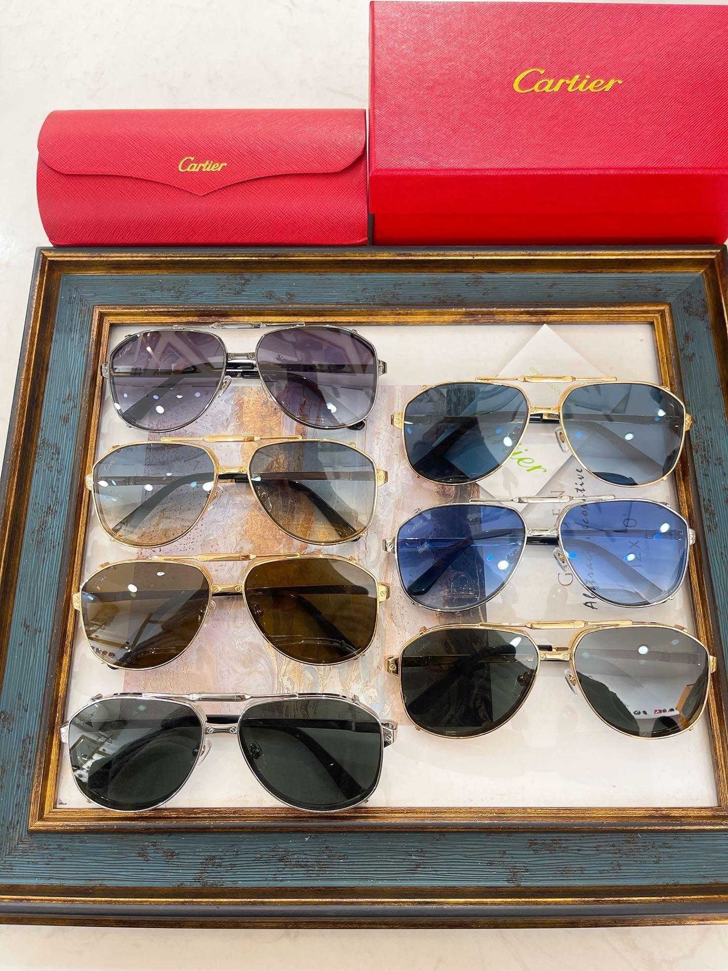 CARTIER Double Frame Aviator CAA 0635S Men&
