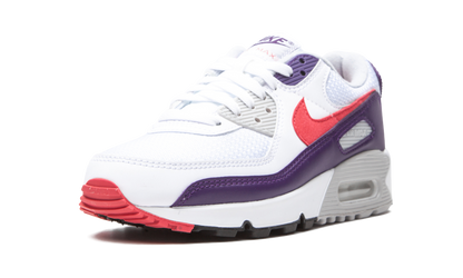 Air Max 90 WMNS "Eggplant" CW1360 100
