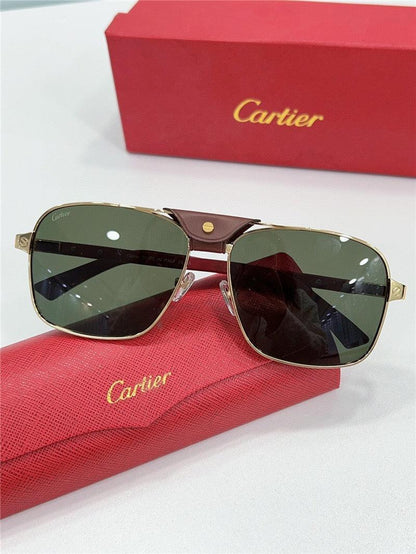 CARTIER SANTOS CT0389S Horn Men&