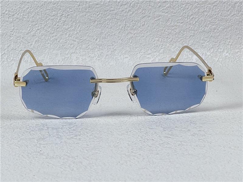 PANTHÈRE DE CARTIER CT CT0162O Photochromic Sunglasses 👑