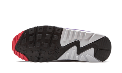 Air Max 90 WMNS "Eggplant" CW1360 100