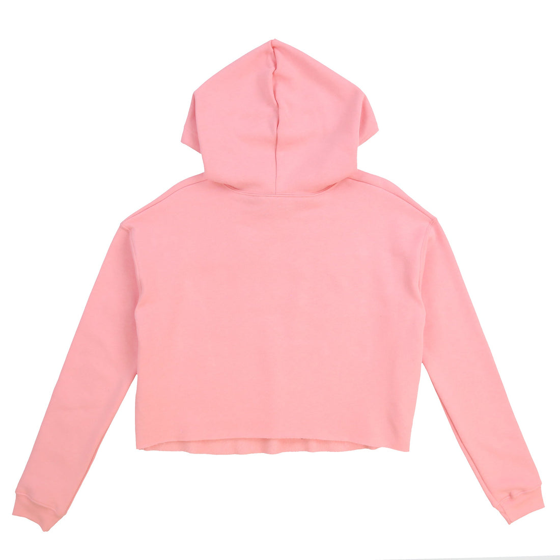 Glory Girl Academy Crop Hoodie (Soft Pink)