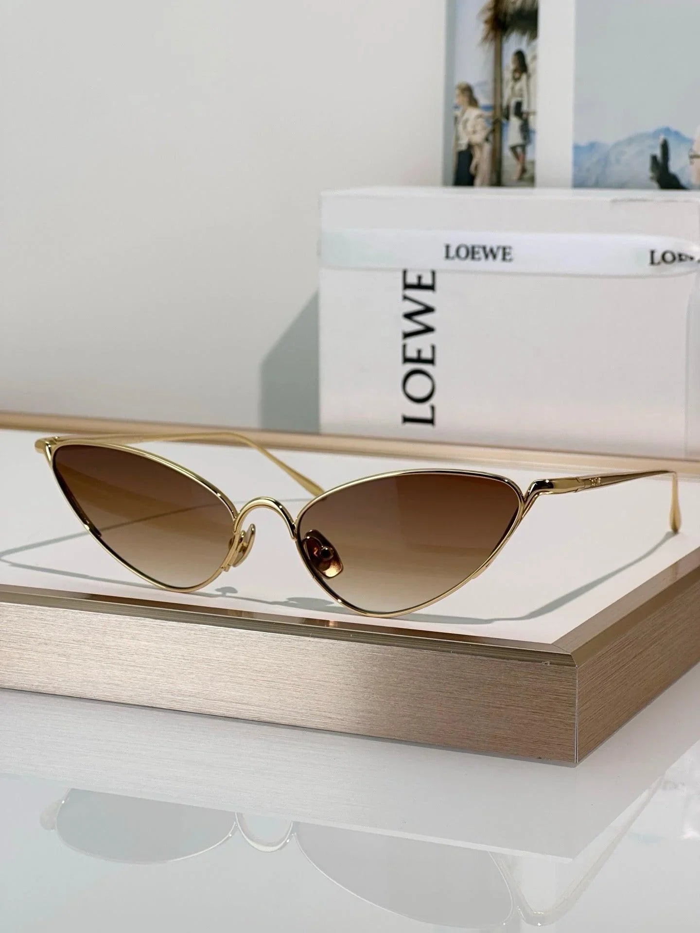 LOEWE Shooting Star Sunglasses  G737LIGX02 ✨