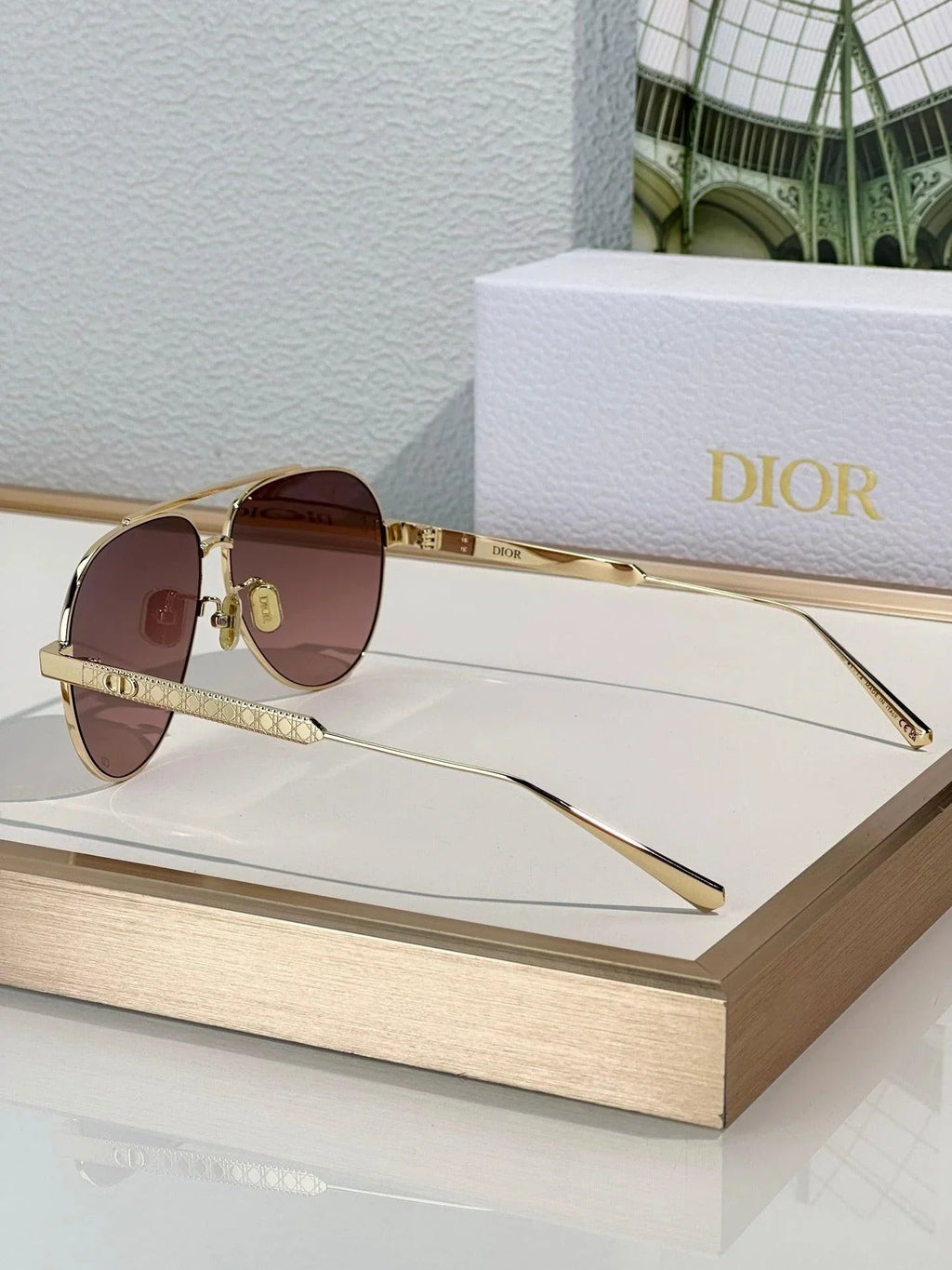 DIOR Dior DiorCannage A1U Sunglasses ✨