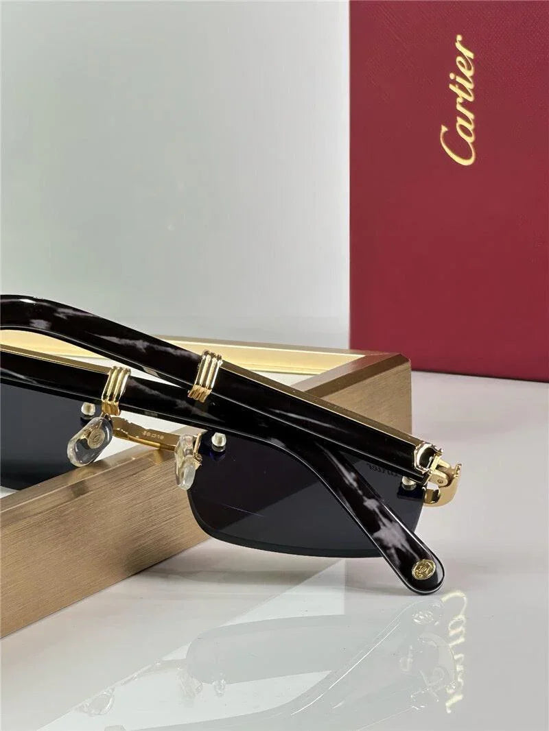 '- Cartier CT0485O Première de Cartier Rectangle Shape Sunglasses 🐆