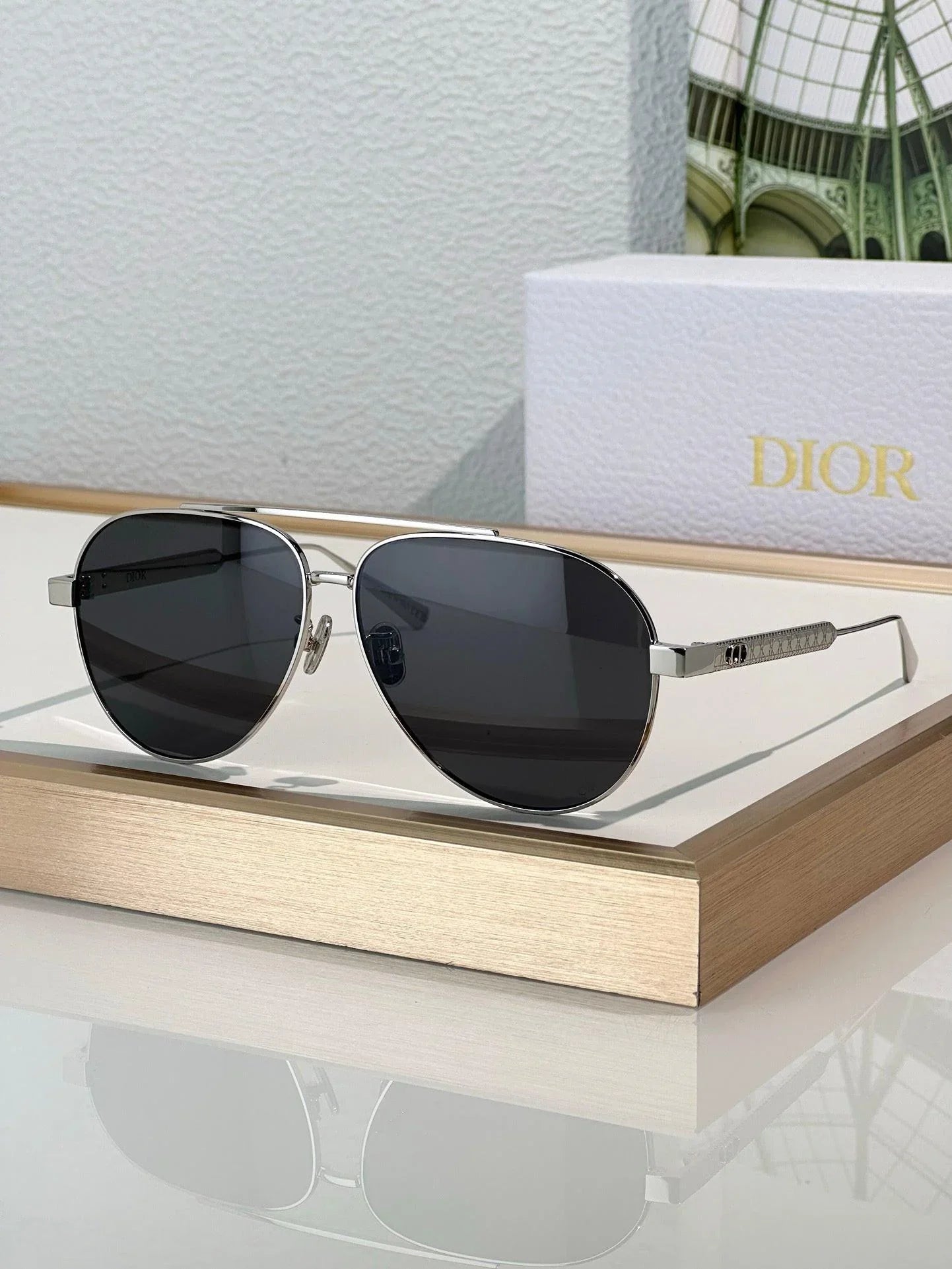 DIOR Dior DiorCannage A1U Sunglasses ✨