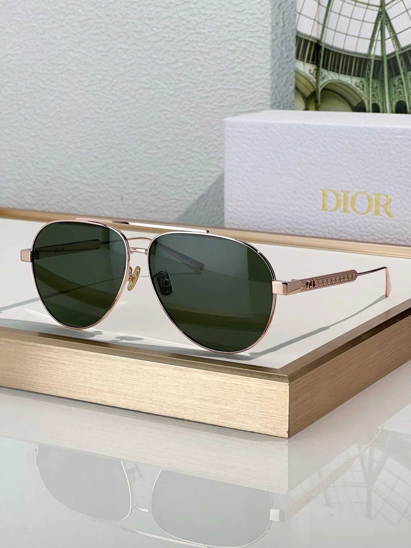 DIOR Dior DiorCannage A1U Sunglasses ✨