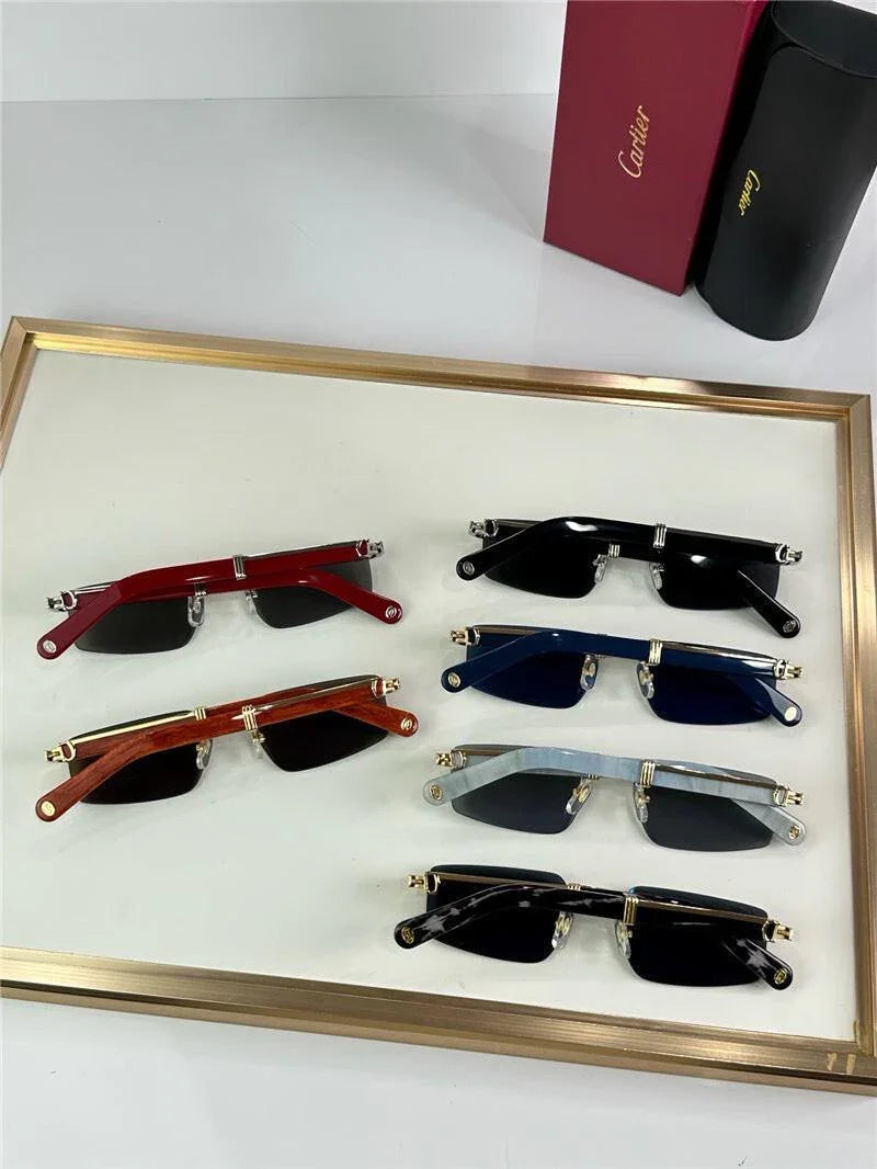 '- Cartier CT0485O Première de Cartier Rectangle Shape Sunglasses 🐆