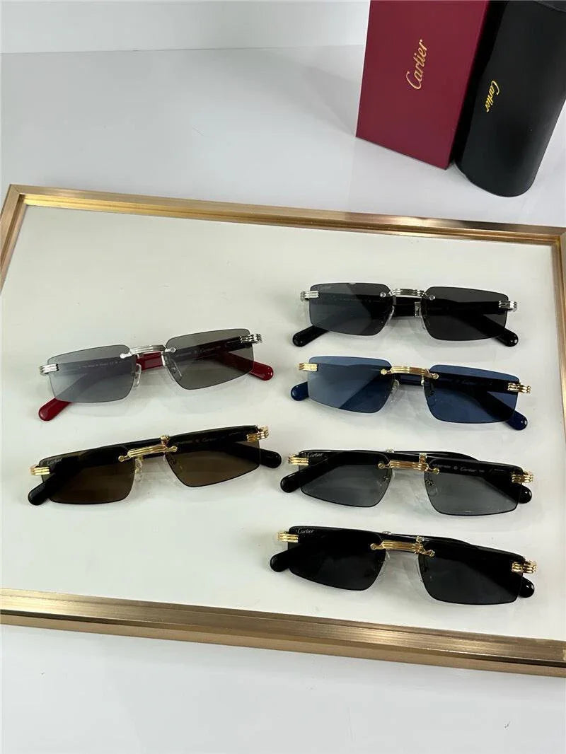 '- Cartier CT0485O Première de Cartier Rectangle Shape Sunglasses 🐆