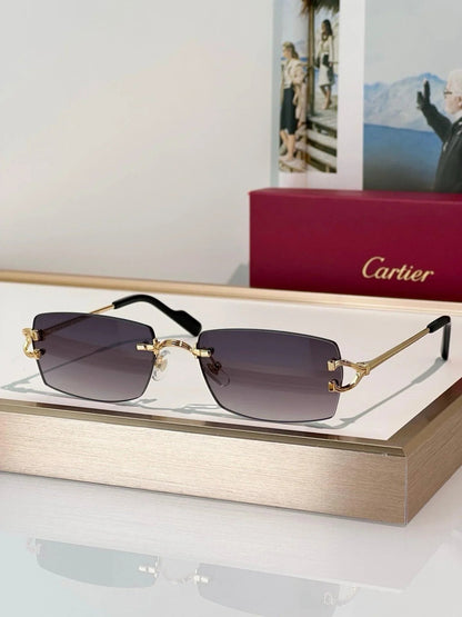 Cartier CT0550S Unisex Photochromic&amp;Sunglasses 🐆