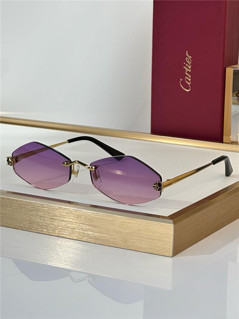 Cartier Eyewear Tiger Head Panthere CT0433S 001 Sunglasses  🐆