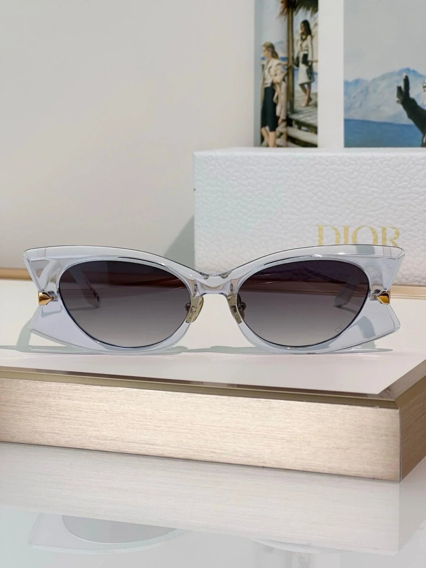 DIOR Dior DiorButterfly S2F Black Rectangular Sunglasses ✨
