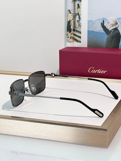 Cartier CT0314 001 Sunglasses 🐆