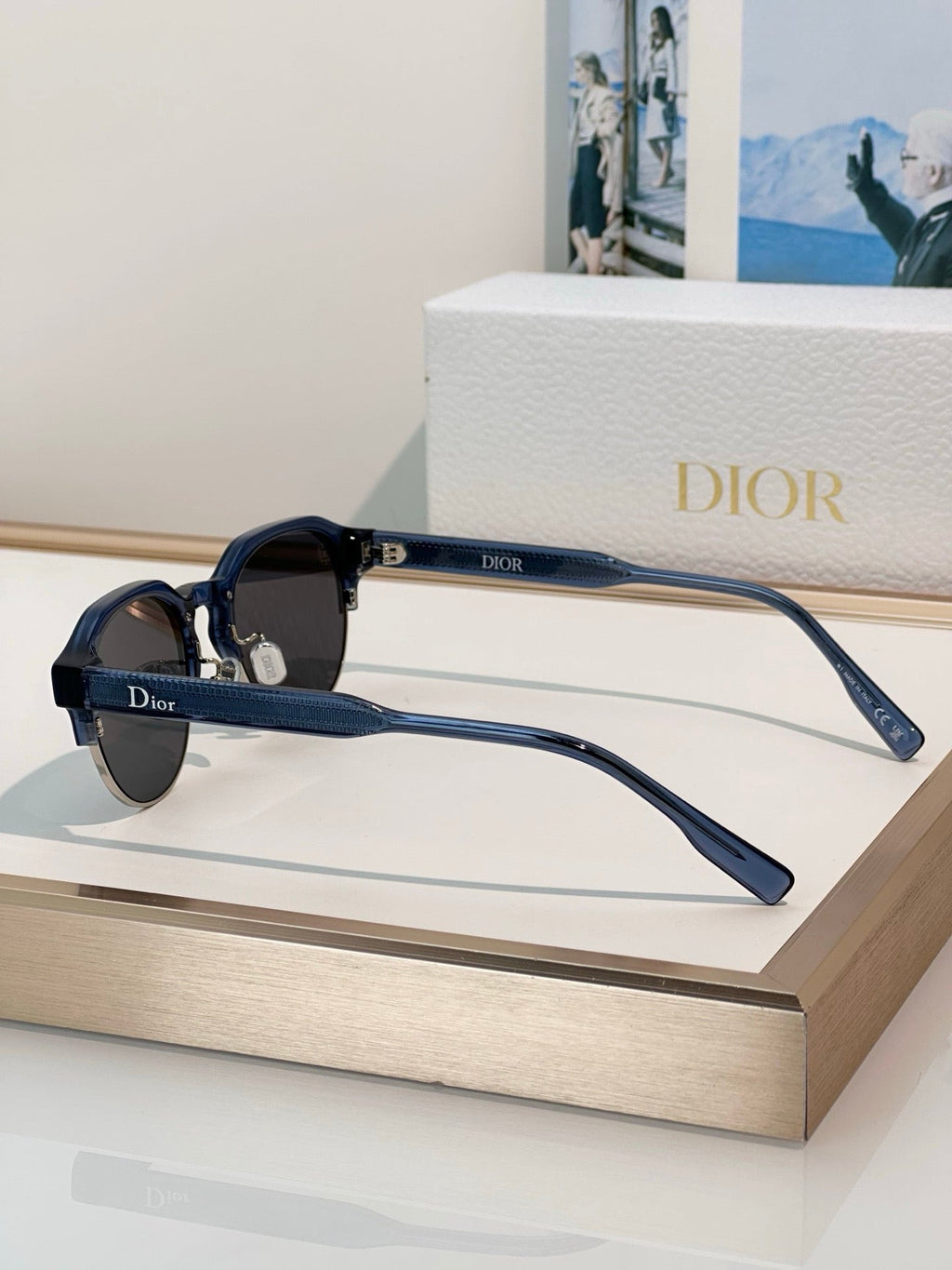 DIOR DioRibbon R1I Pantos  Sunglasses✨