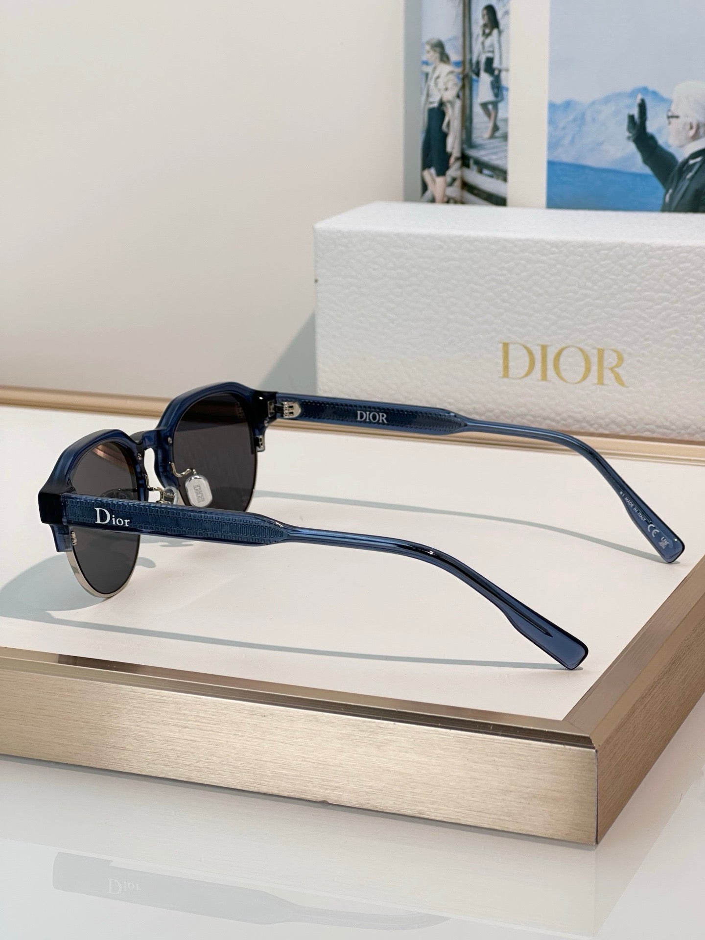 DIOR DioRibbon R1I Pantos  Sunglasses✨