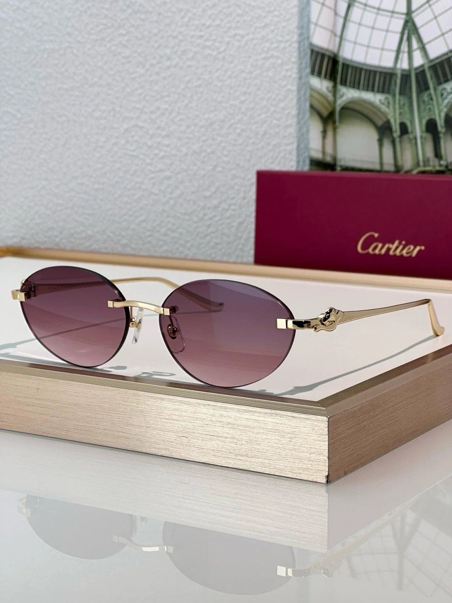 Cartier PREMIÈRE Panthère Classic 58MM Oval Photochromic Sunglasses 🐆