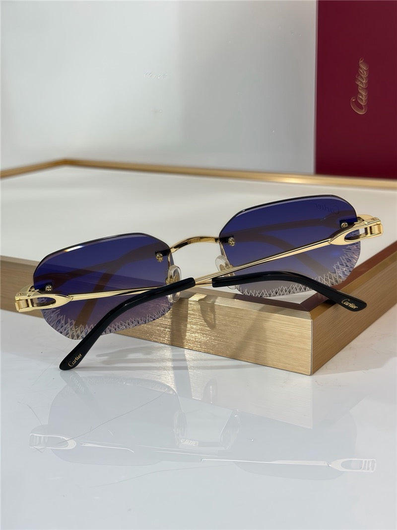 Cartier PREMIÈRE DE CARTIER CT0820S Glasses 🐆