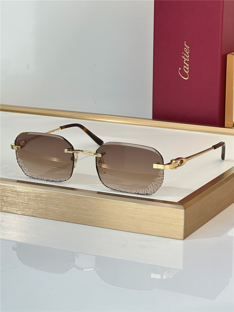 Cartier PREMIÈRE DE CARTIER CT0820S Glasses 🐆
