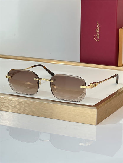 Cartier PREMIÈRE DE CARTIER CT0820S Glasses 🐆