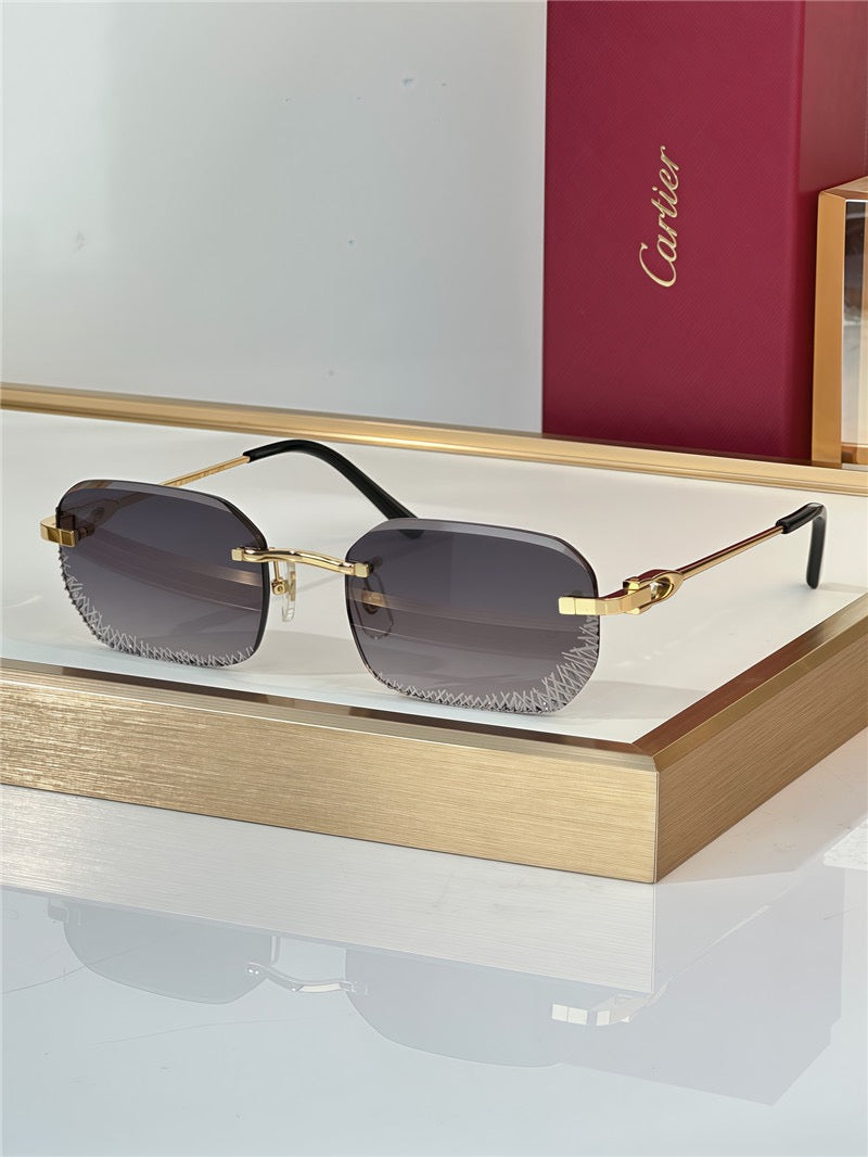 Cartier PREMIÈRE DE CARTIER CT0820S Glasses 🐆