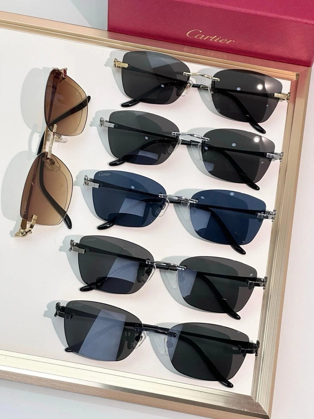Cartier Exception CT0522O Sunglasses 🐆