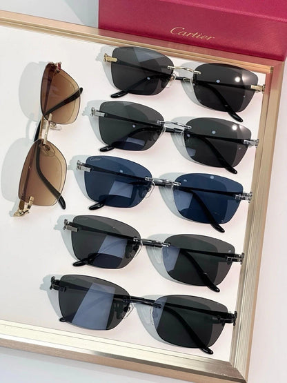Cartier Exception CT0522O Sunglasses 🐆