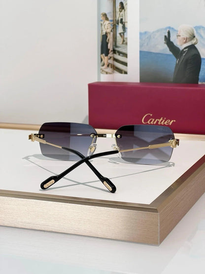 Cartier CT0271 S Unisex Sunglasses 🐆 - NEW $1600 retail price