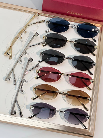 Cartier PREMIÈRE DE CARTIER CT0637O Glasses 🐆