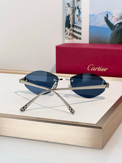 Cartier PREMIÈRE DE CARTIER CT0637O Glasses 🐆