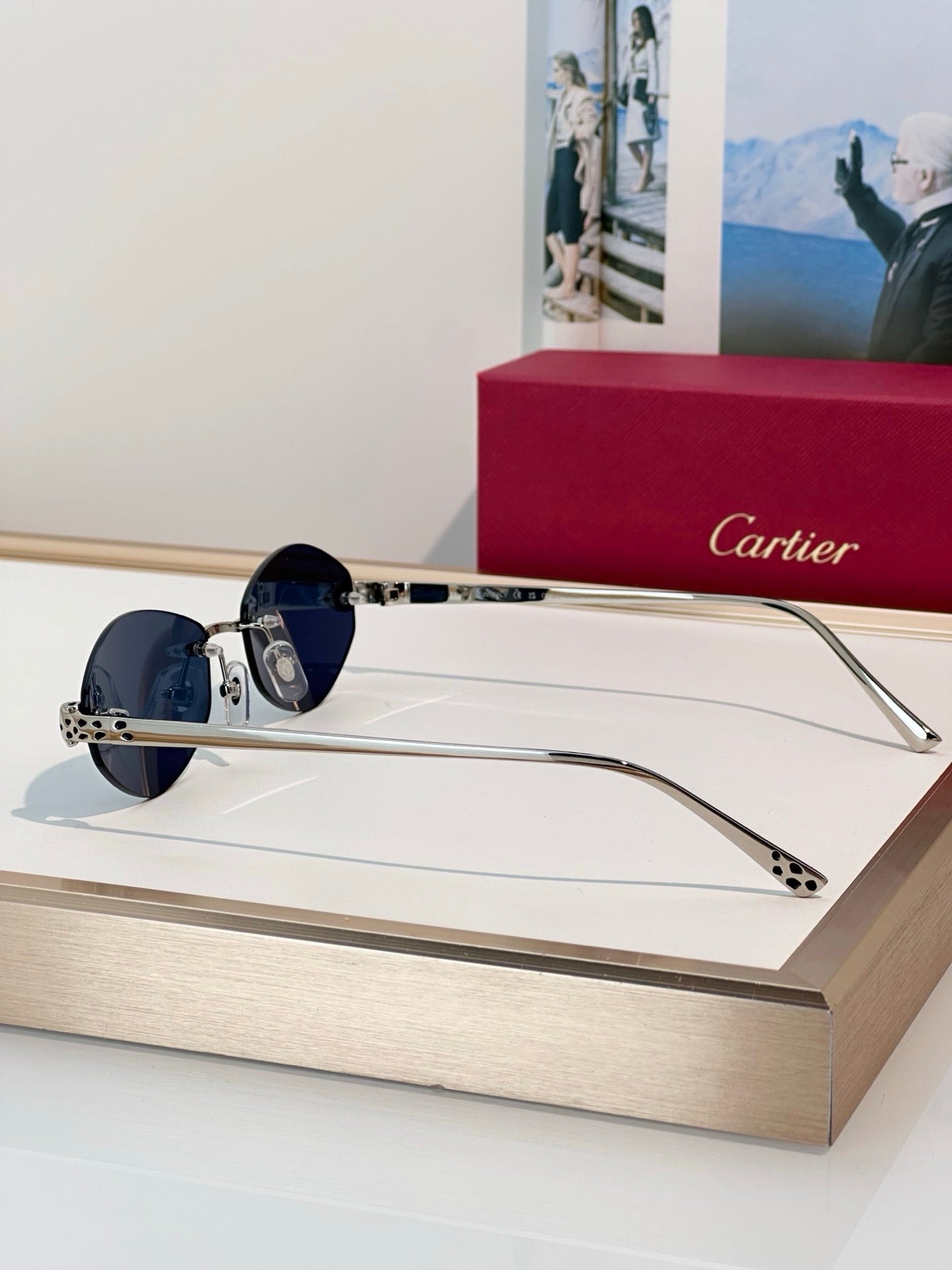 Cartier PREMIÈRE DE CARTIER CT0637O Glasses 🐆