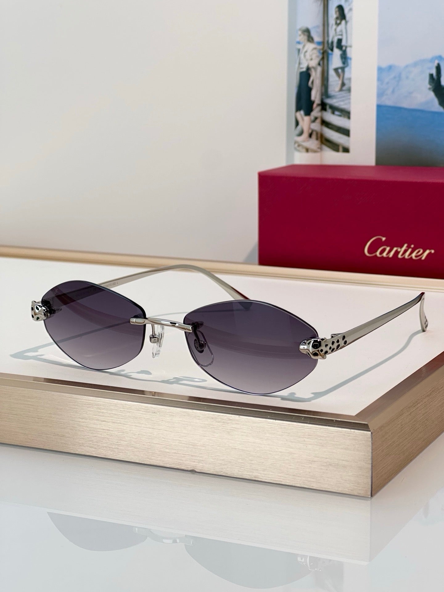 Cartier PREMIÈRE DE CARTIER CT0637O Glasses 🐆