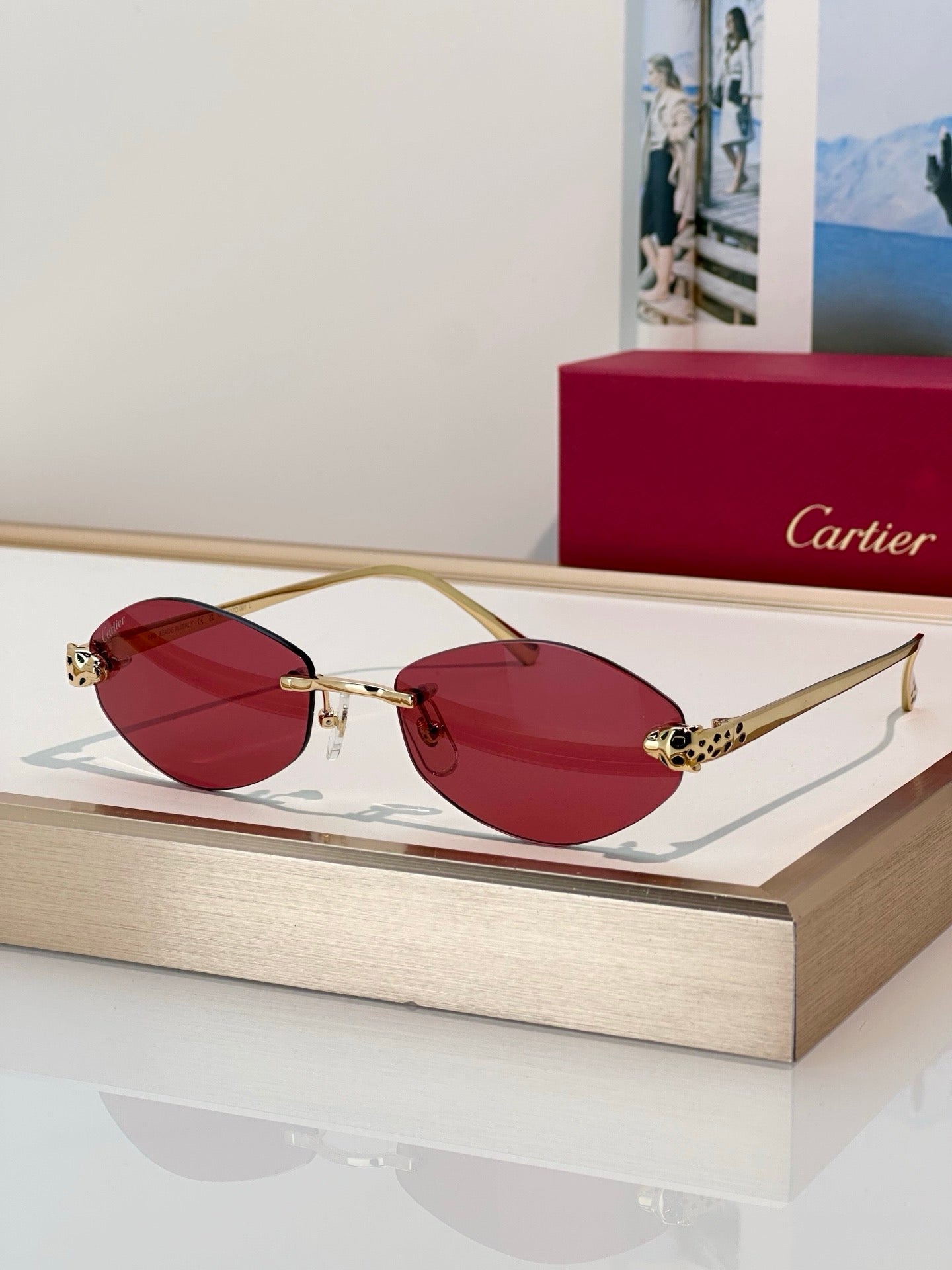 Cartier PREMIÈRE DE CARTIER CT0637O Glasses 🐆