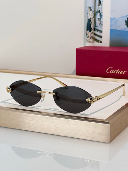 Cartier PREMIÈRE DE CARTIER CT0637O Glasses 🐆