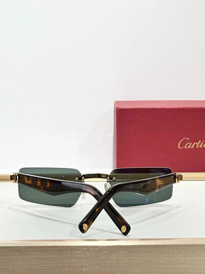 Cartier CT0537S 001 Sunglasses 🐆