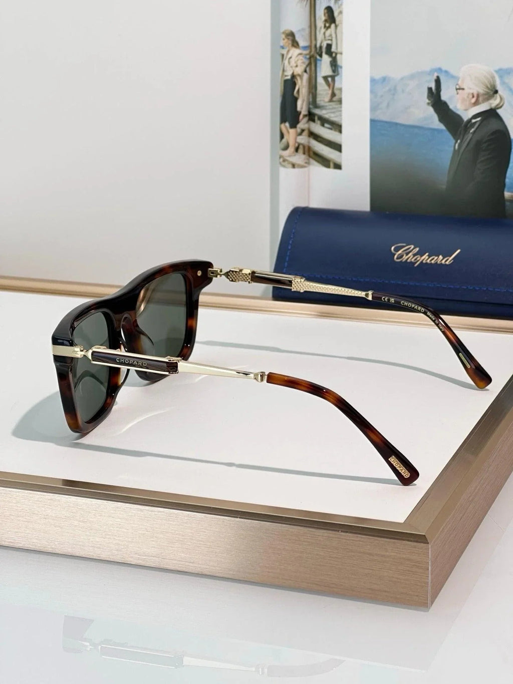 Chopard  Chopard SCH 365 700P Polarised Sunglasses   ✨